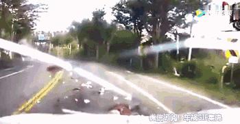 俩人迎面相撞视频,两人头部相撞