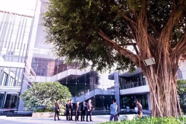 广州白天鹅宾馆住一晚多少钱,白天鹅住一晚