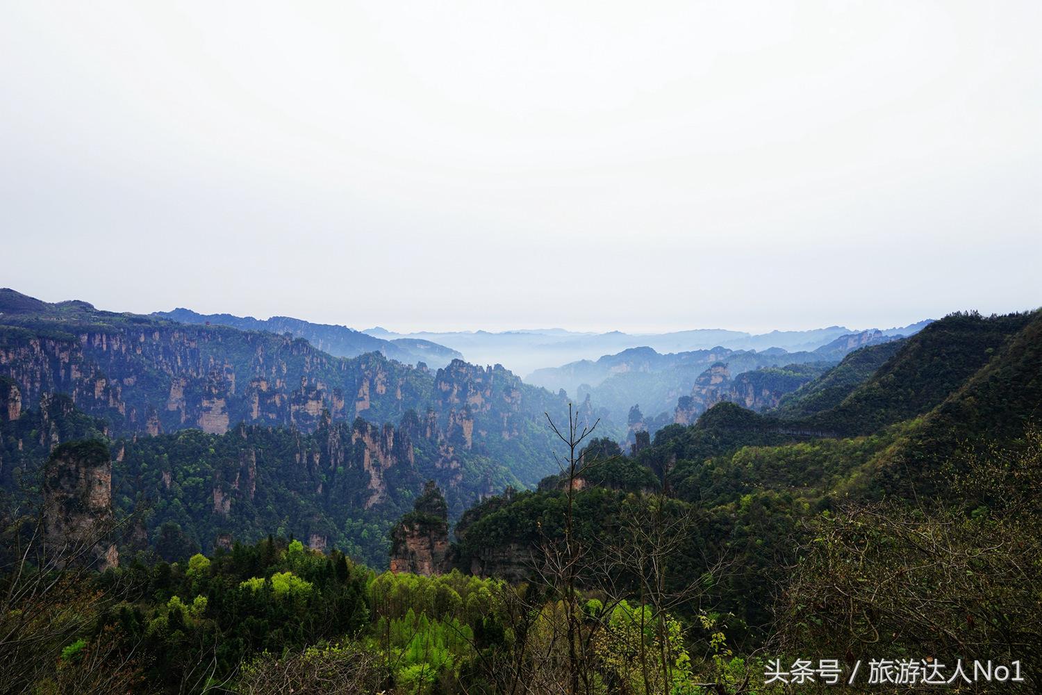 游记张家界8天旅游详细攻略,张家界天门山森林公园美景游记
