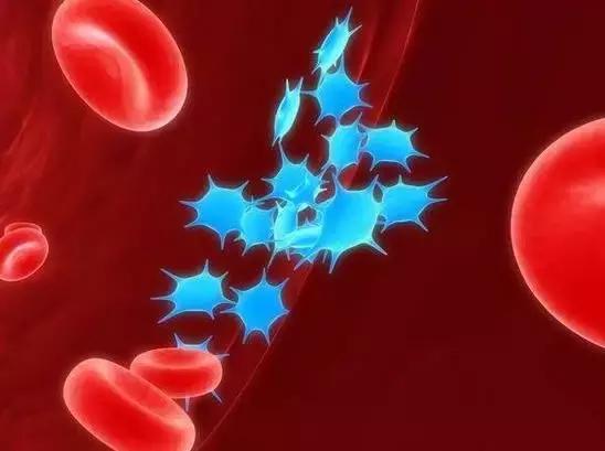 血小板减少性紫癜是大病吗好治吗,血小板减少紫癜是什么病能治好吗