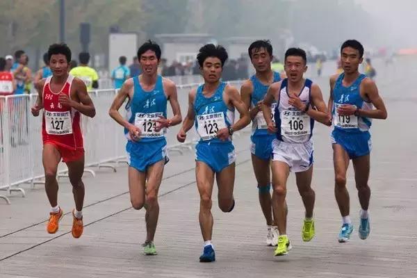 光猪跑的视频,光猪跑北京