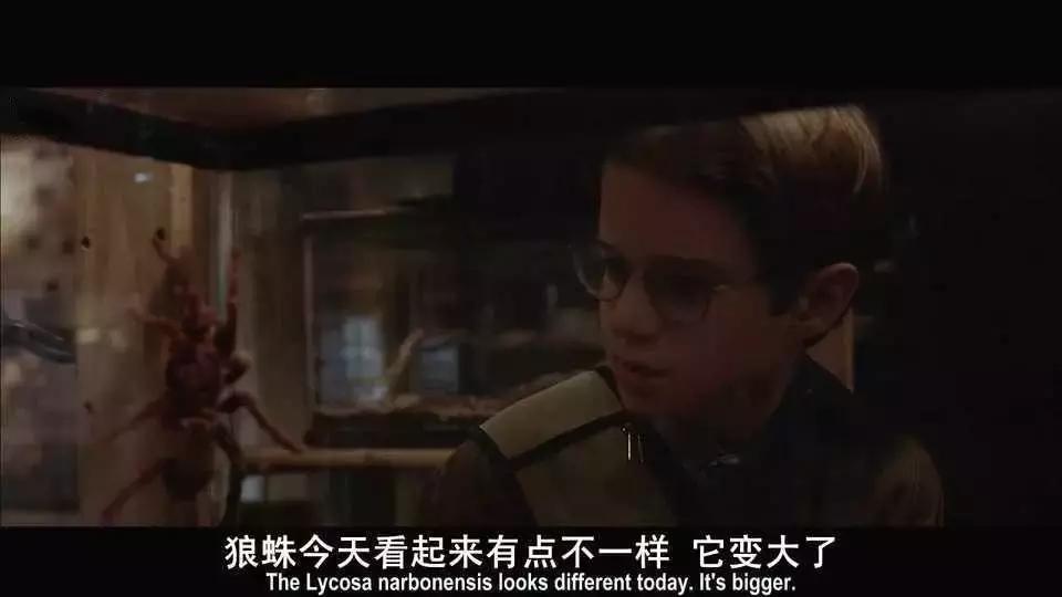 这是你们要的大长腿，备好纸巾，准备上下其手吧