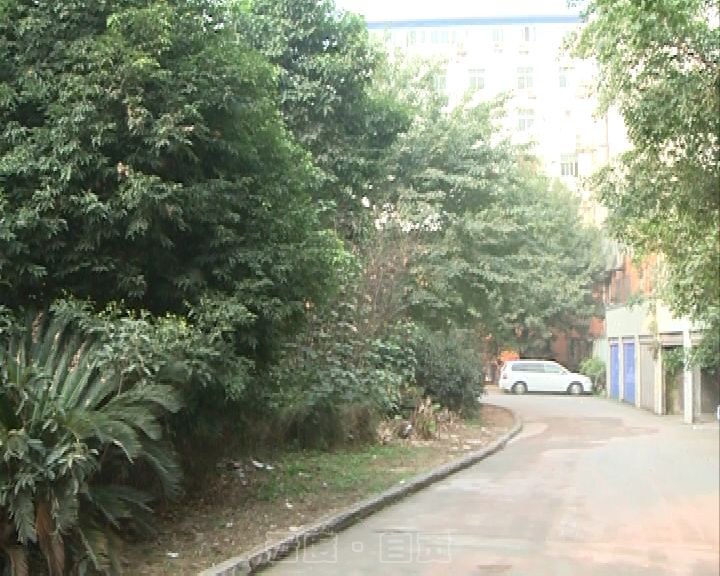 小区内建房,小区中发生的事