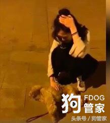 泰迪被大狗咬死了要怎么处理,泰迪狗被大白狗咬死了有什么预兆
