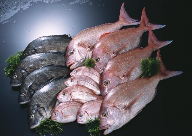 孕期知识大全及注意事项书,孕期检查项目时间表注意事项