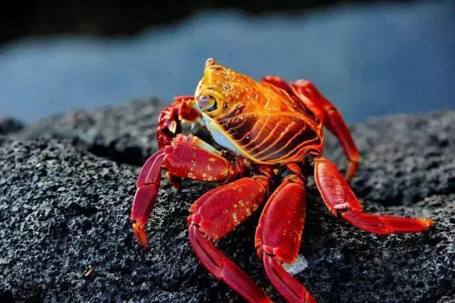 这才是旅行的样子,从亚洲至南美洲,他比我们多了点勇气和决心