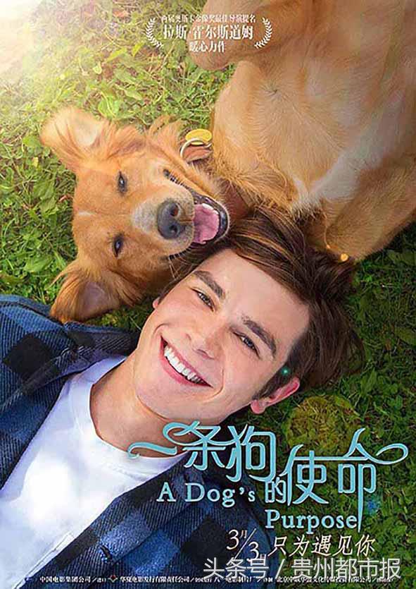 蝙蝠侠金刚狼大结局,金刚狼和蝙蝠侠对决