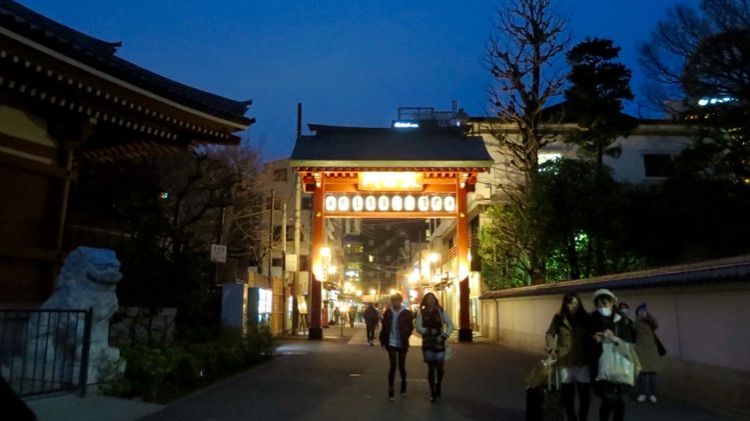 旅行是孤独的人在寻找的方式,旅行是我一辈子都愿意做的事