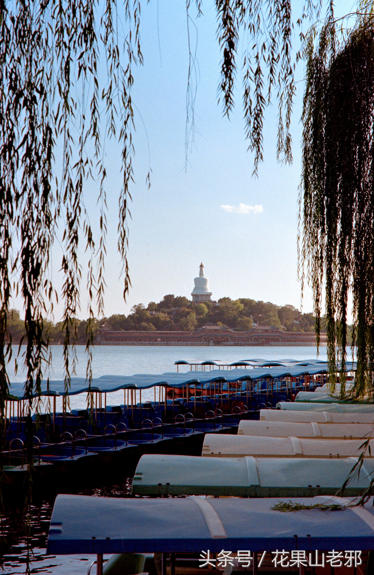 怎样用x光胶片翻拍人像底片,翻拍胶片底片如何处理