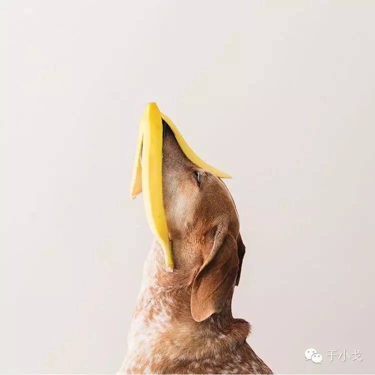 过年什么礼物给父母,过年礼物哪些比较好看