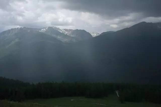 新警察故事你可能不知道的,观看新警察故事