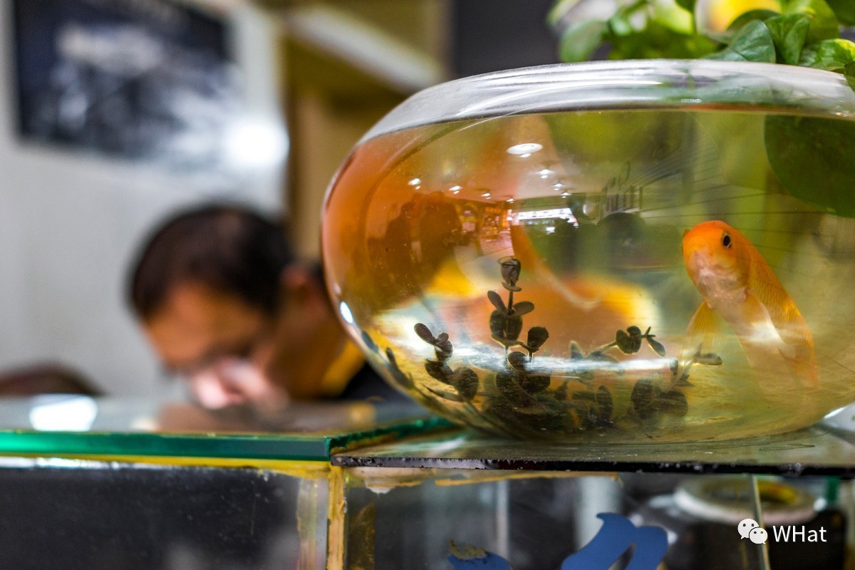 铜人像里藏着修相机的头牌师傅，33年的坚守积累千金不换的口碑