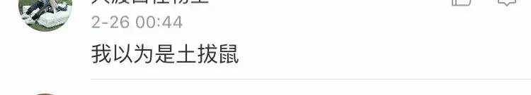 今朝上海｜闻臭师、遛娃师、衣橱整理师……这些奇葩职业的收入竟然那么高！也许你也隐藏着某些赚钱技能哦~