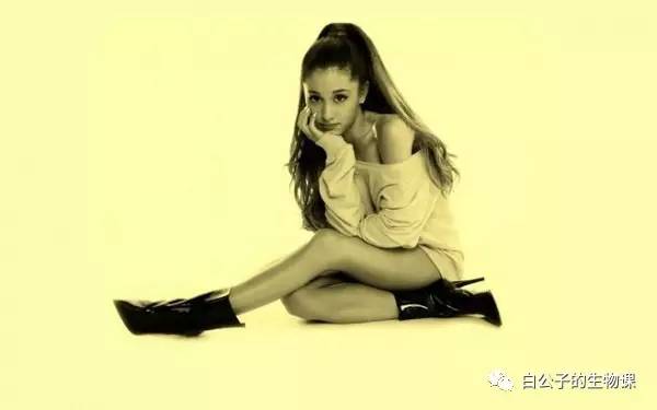 想炒一个麻椒鸡块,马尾怎么做才好吃