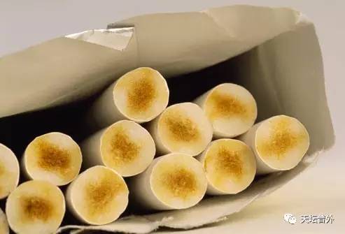 关于肺癌的科普知识,肺癌科普及答疑