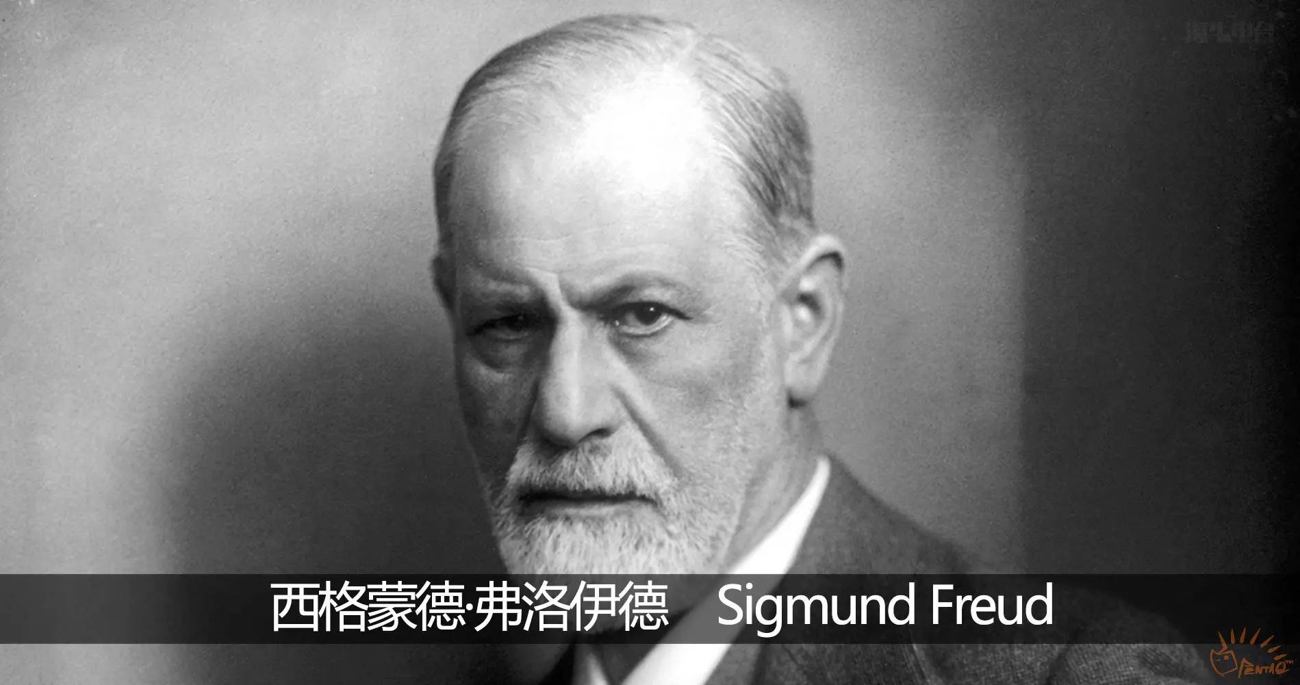 娴风墰鐢靛彴鐭ヤ箮,娴风墰娌绘剤瑙嗛