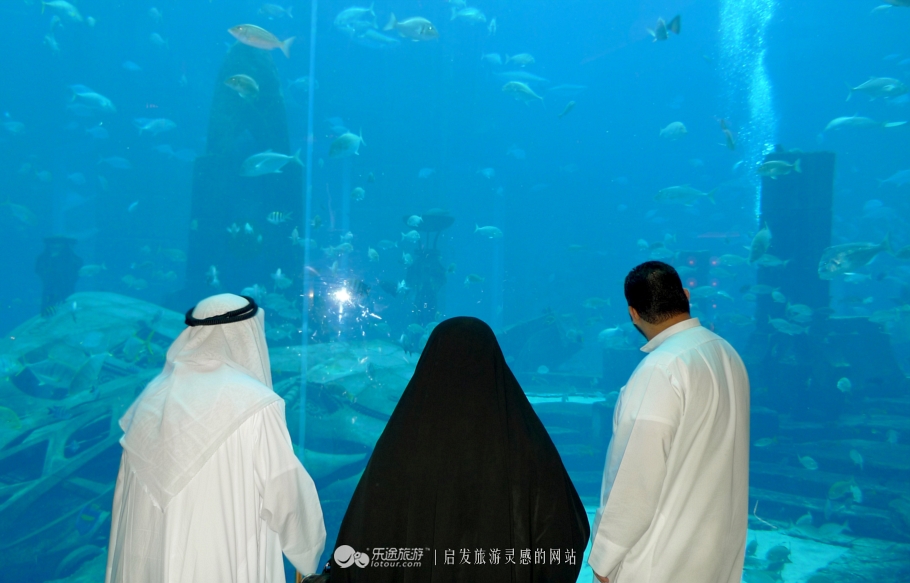迪拜海洋馆房间,迪拜海底世界