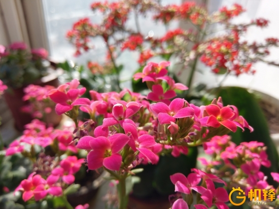 htcuultra屏幕怎么样,htcuultra蓝宝石版