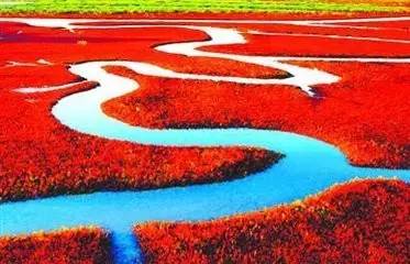 辽宁国家级海洋公园旅游景区,辽宁省海洋公园