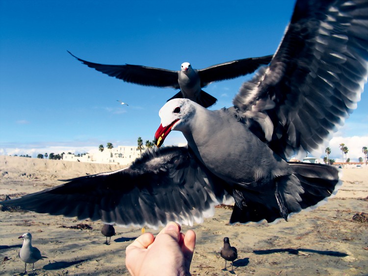 海景人像拍摄构图,海景照拍摄技巧