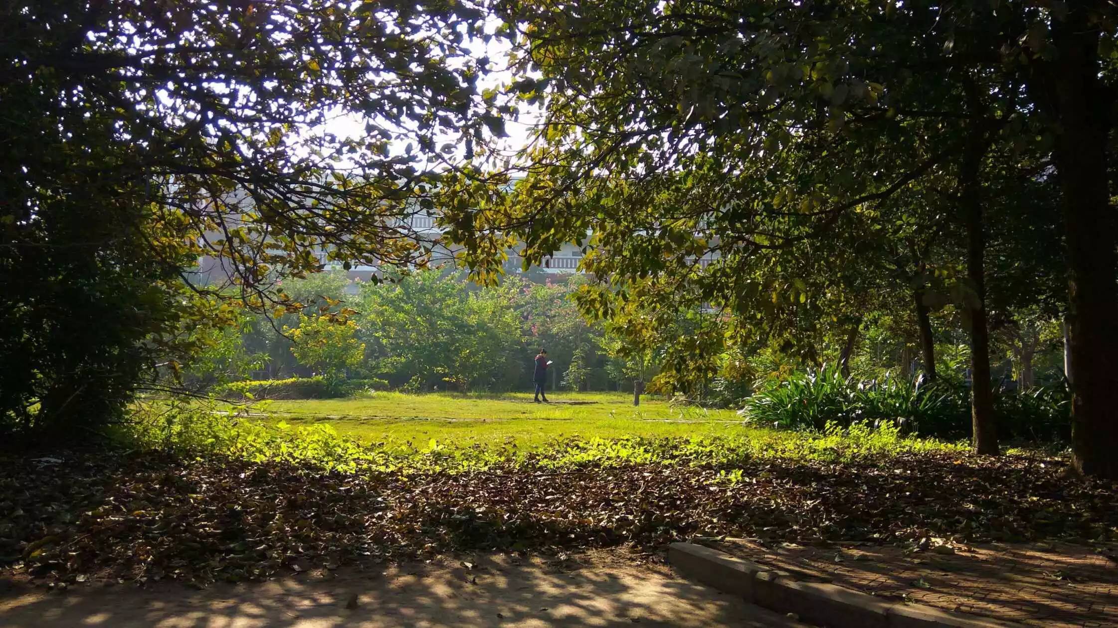 福师大版诗词大会|长安辞赋星雨谣,仓旗才俊巧成章