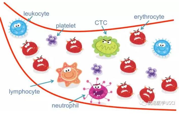 液态活检ctc怎么做,活检是ctc吗