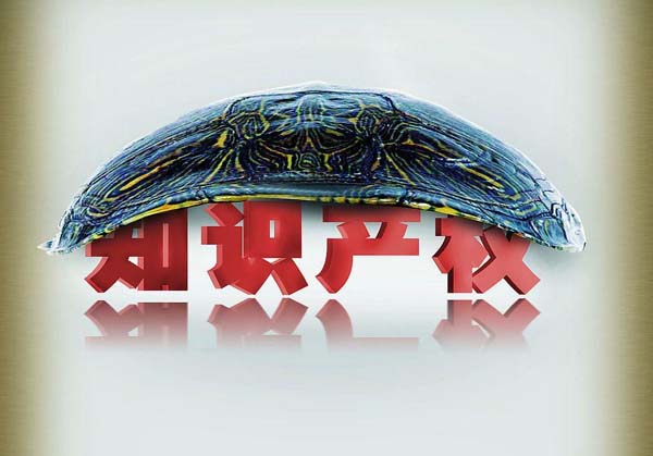 蟾权,蟾权商标综合服务部