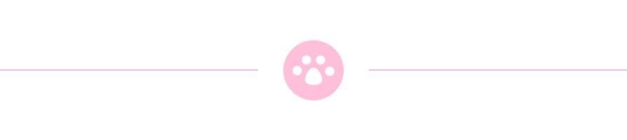 种草｜有哪些小众又实用的双肩包品牌？