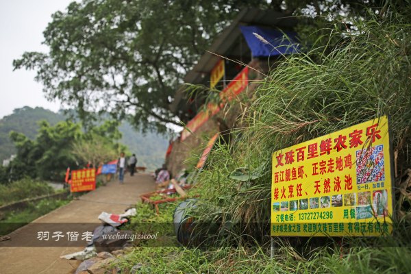 居于涟岸隐于湖,到肇庆体验离尘不离城的精致慢生活