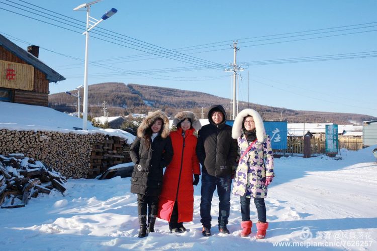 白狐千年等待只为今生相遇,白狼一生只爱一人