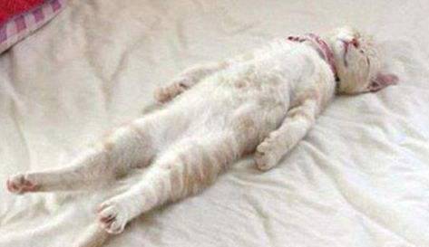 跨境购排行,跨境购日常