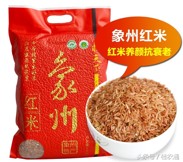 广西黑米饭的由来,云南紫米和黑米的区别