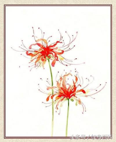 粉丝求图,粉丝求素材原图怎么回复