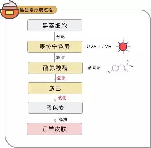 用了美白护肤品还是不白,用了好多美白化妆品白不起来