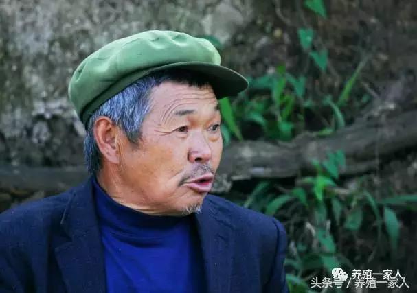 养羊的10大忠告完整,养羊的十大心酸