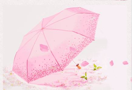 星巴克樱花官方,2022年星巴克樱花新品