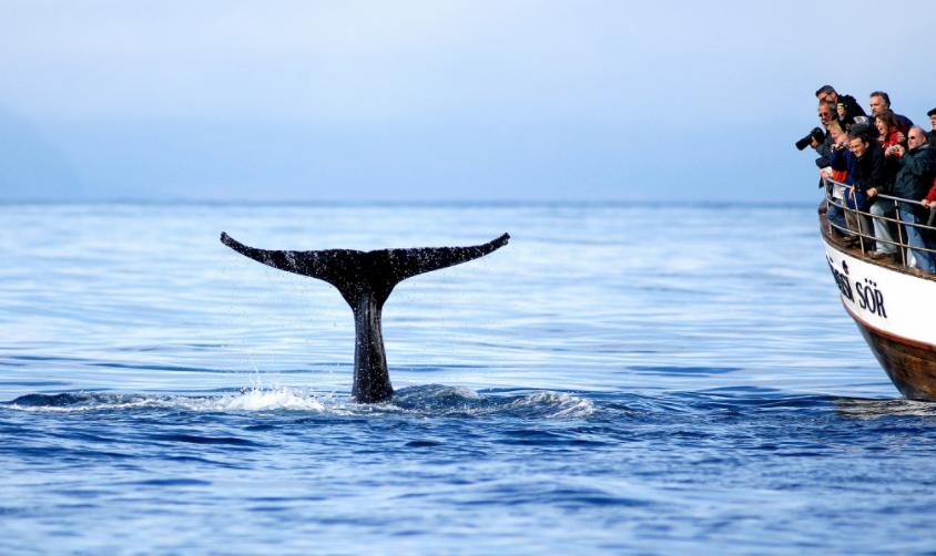 北纬66度地形图,北纬66度的纬线