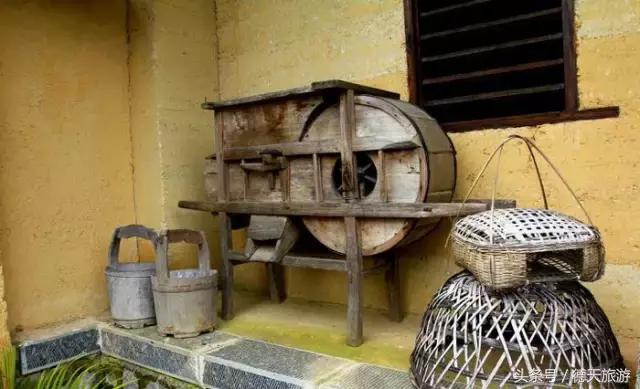 巴马长寿五大要素,巴马的长寿文化与中国的养生文化