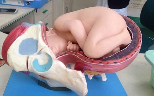 孕妇生宝宝开十指是什么意思,生孩子开十指是多大