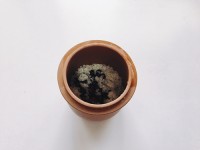 三豆薏米粥祛湿原理,薏米粥祛湿减肥做法