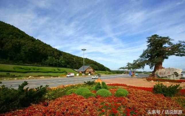 大连旅游景区投资项目,大连旅游局最新项目