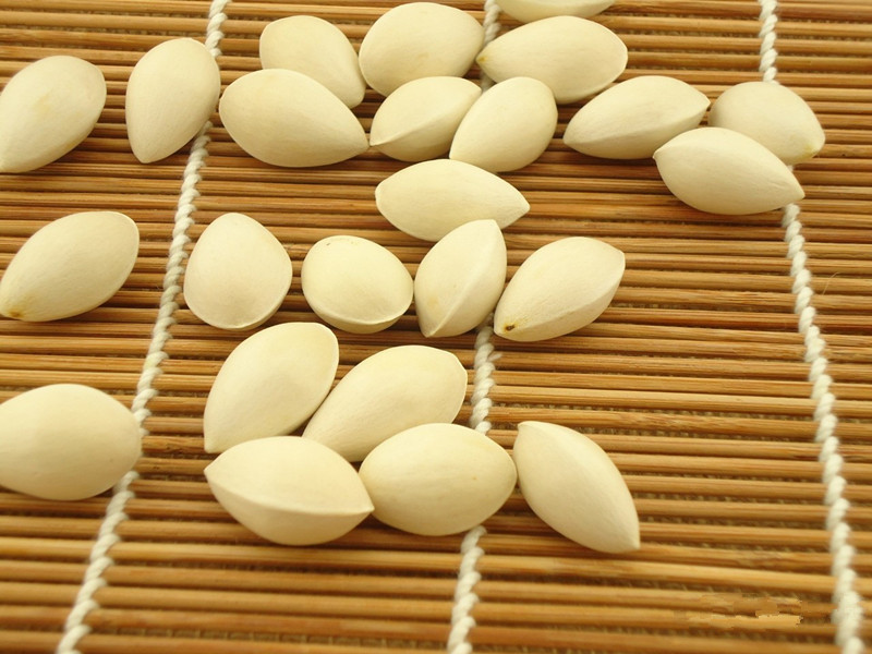 物美价廉的苹果,物美价廉酸枣仁