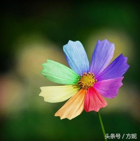 怎么解除客户拉黑,客户拉黑你的正确方法