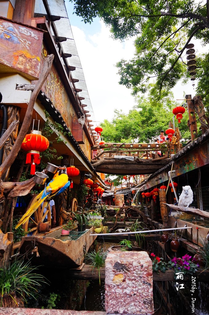 彩云以南，我们终于出发の我带着你，你带着钱！