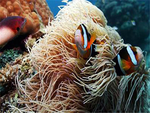 大连旅游线路推荐一日游,大连旅游攻略必去十大景点推荐