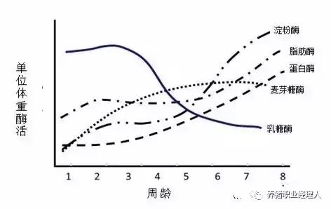 仔猪流行性腹泻怎么鉴别,仔猪流行性腹泻的症状及防治措施