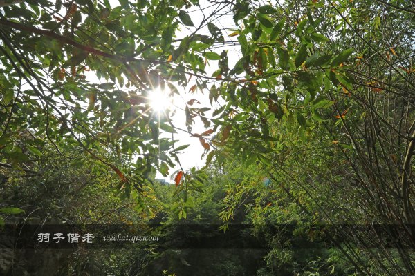 居于涟岸隐于湖,到肇庆体验离尘不离城的精致慢生活