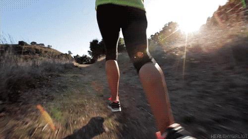 光猪跑的视频,光猪跑北京