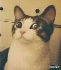 花了好几个亿都还在被黑的景甜，就这样洗个脸就红啦？！