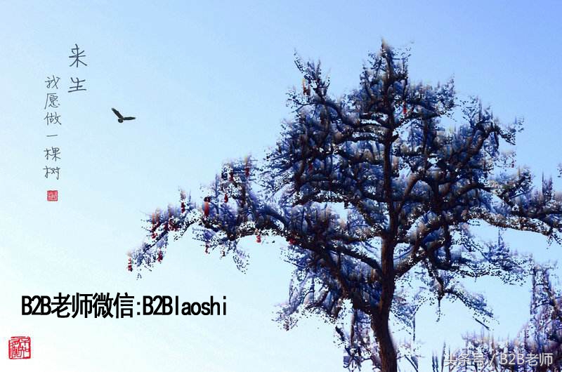 b2b细分种类,b2b平台发布信息有效果吗